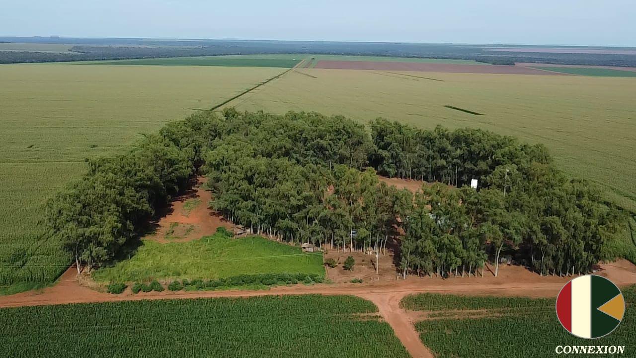 FAZENDA A VENDA C/ 3103 HECTARES NA REGIAO DE DIAMANTINO-MT - ...