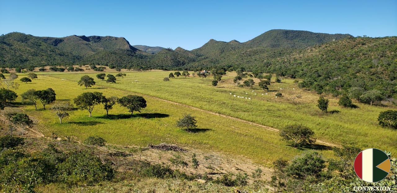 FAZENDA A VENDA C/ 330 ALQUEIRES NA REGIAO DE COLINAS DO SUL-G...