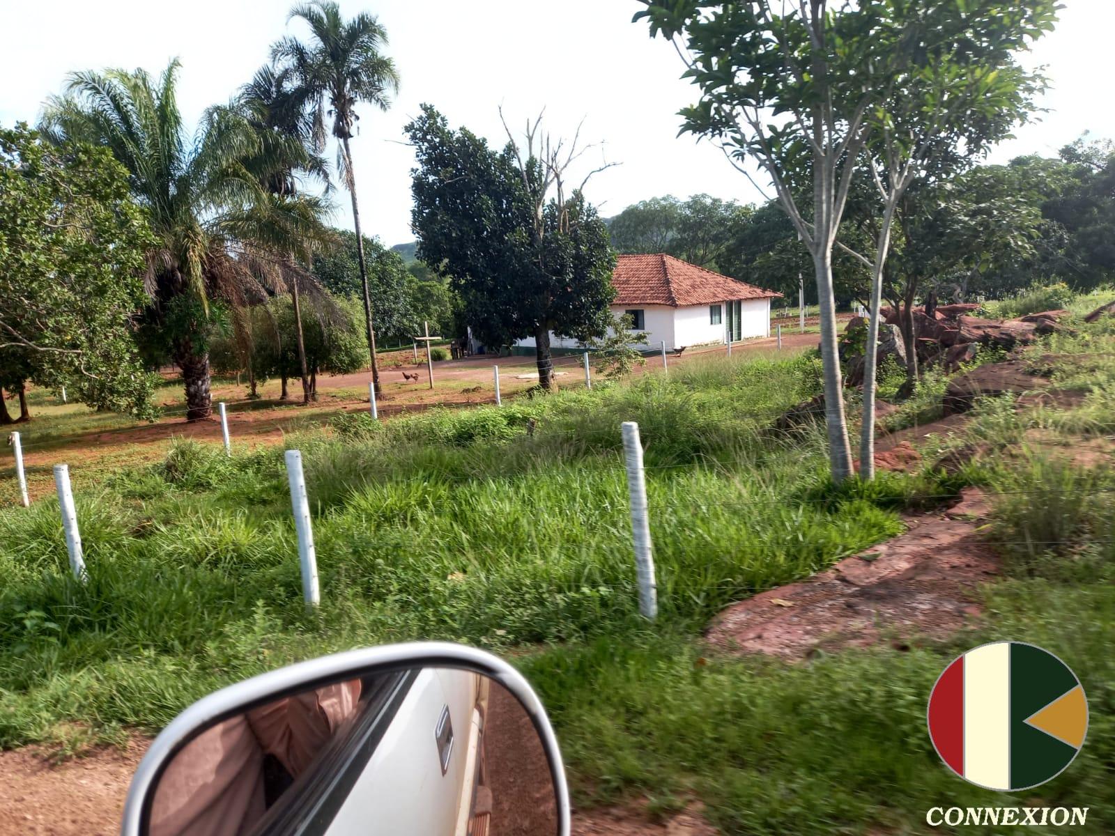 FAZENDA A VENDA C/ 7260 HECTARES NA REGIA DE BARRA DO GARÇAS-MT