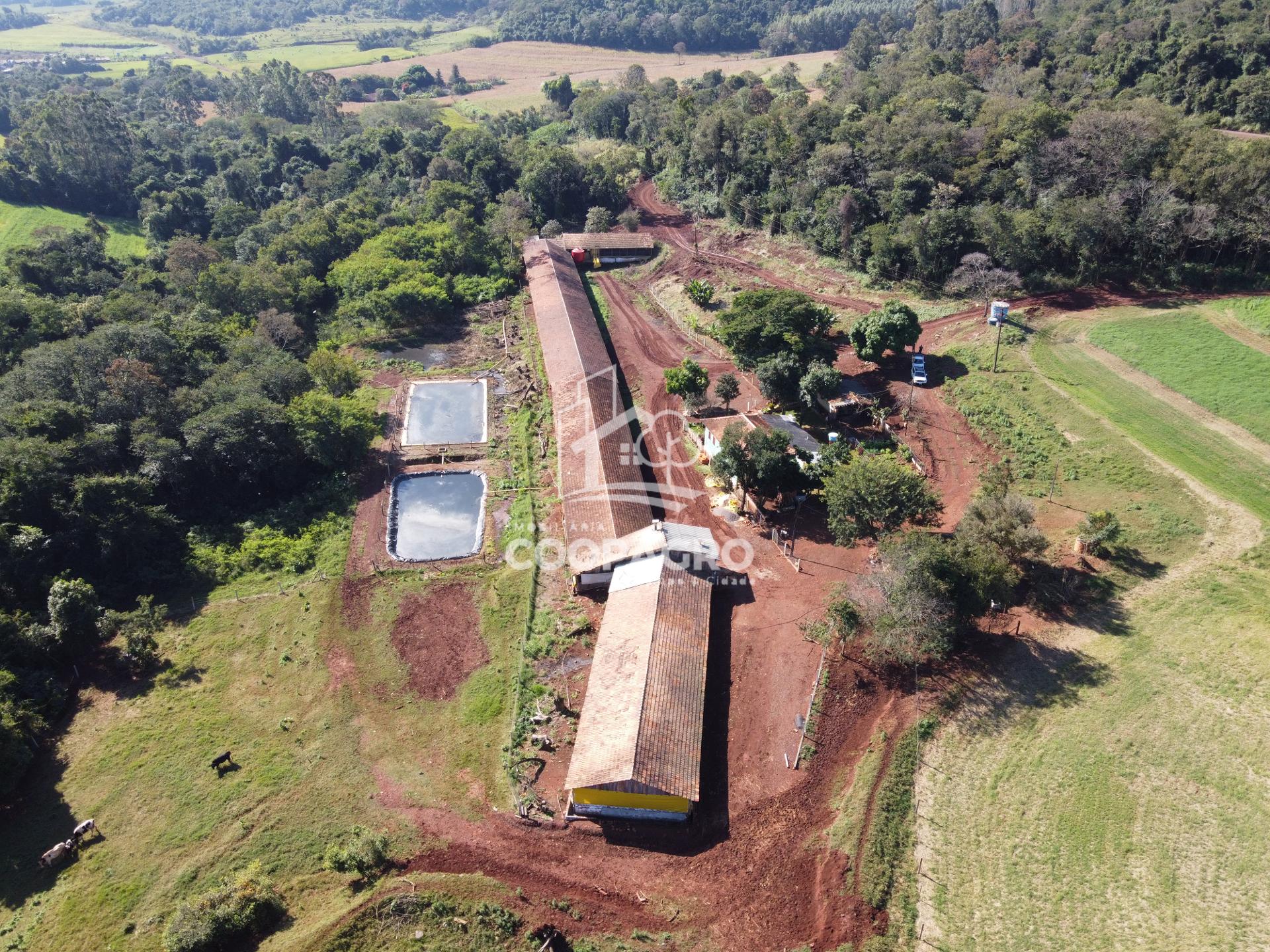 Chácara Rural com 70.759 m  e Pocilga para 1.200 suínos, Toled...