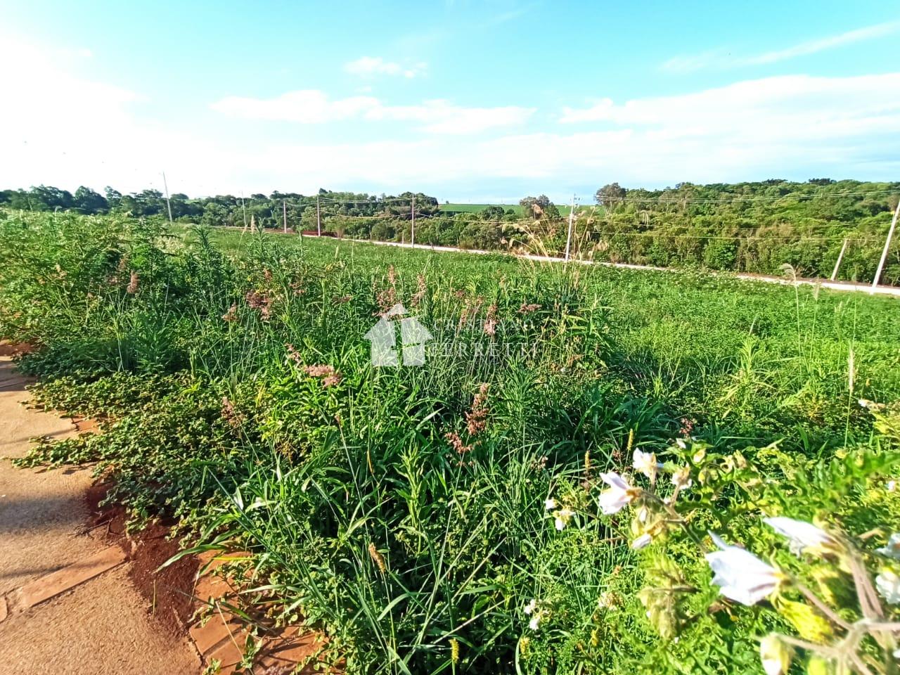 Terreno no loteamento Flora Galante à venda, Jardim Coopagro, ...