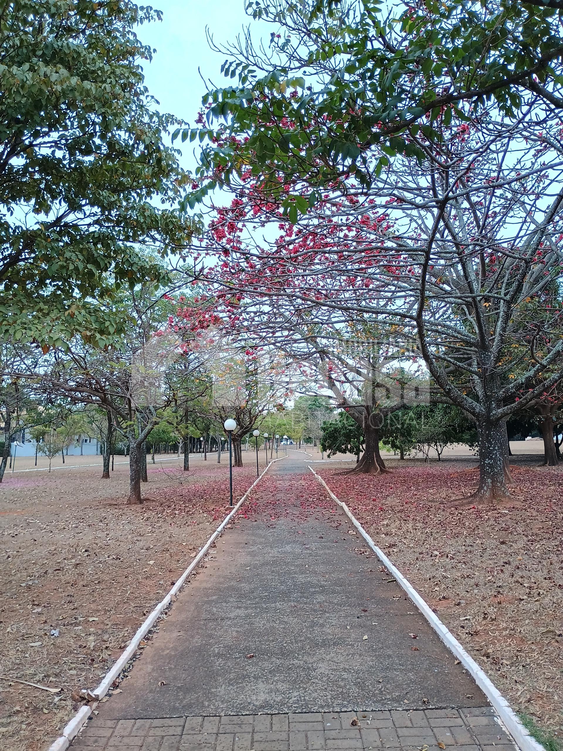 Imobiliria Decasa em Birigui SP