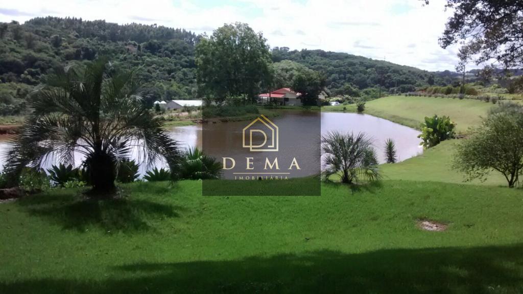 Fazenda à venda com 2 quartos, 33000m² - Foto 6