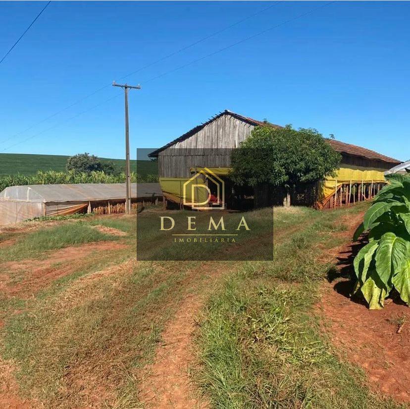 Fazenda à venda - Foto 6