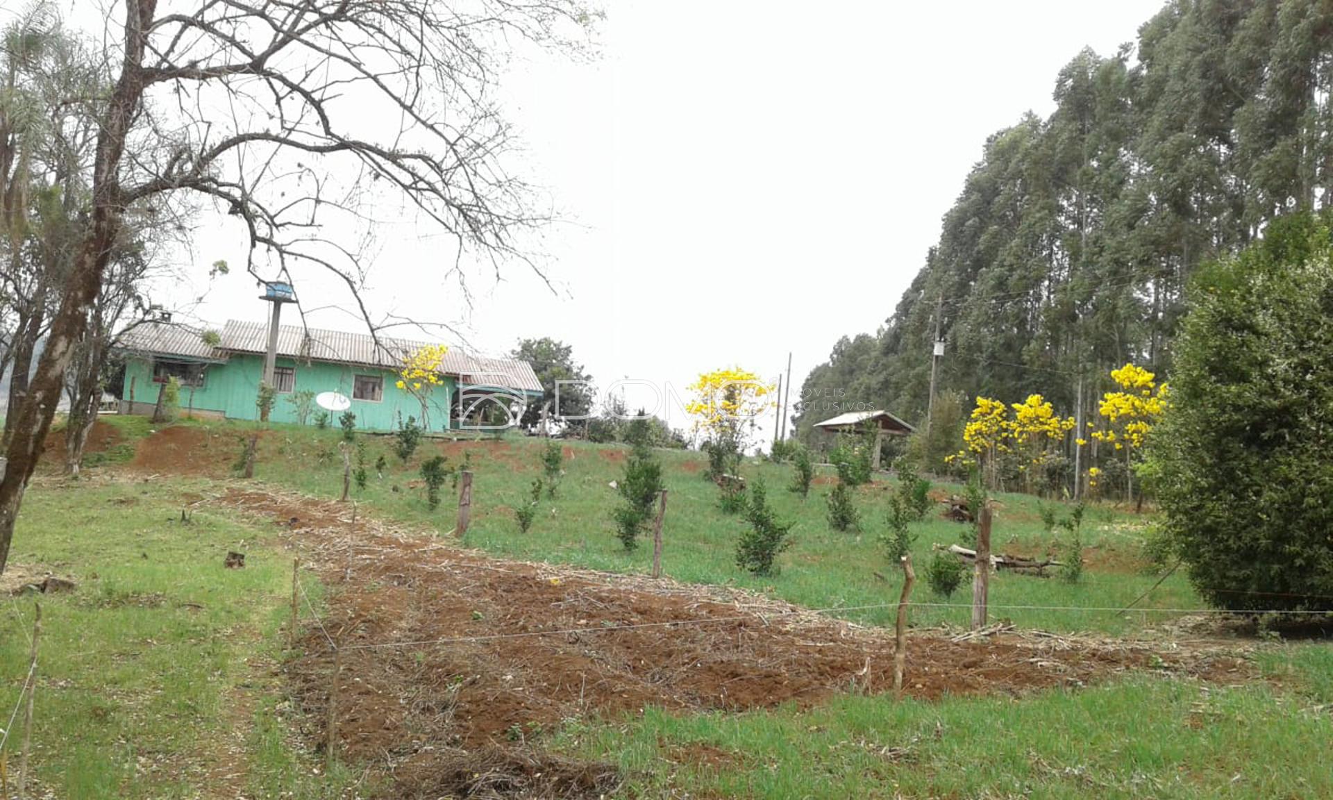Sítio à venda, localizado na Zona Rural, GUARANIAÇU - PR