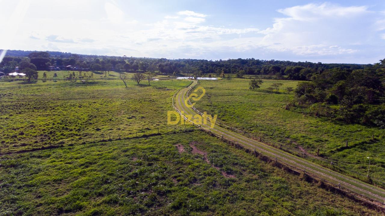 Fazenda à venda com 5 quartos, 110000m² - Foto 55