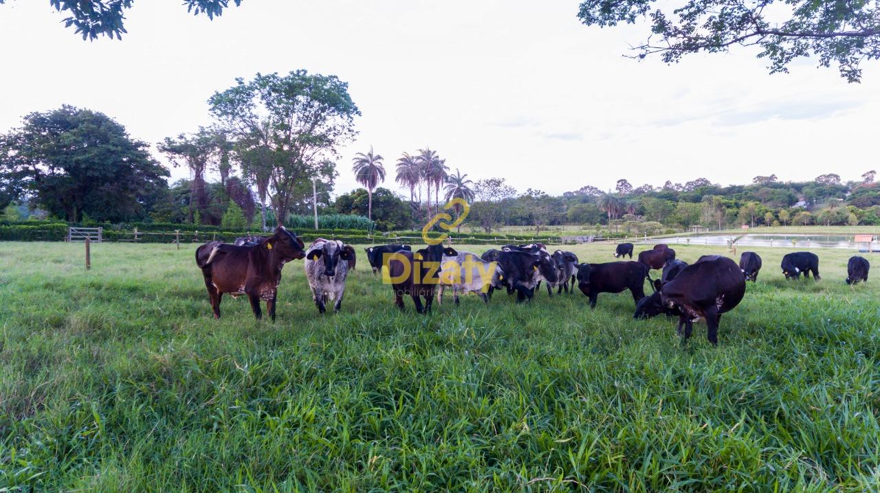 Fazenda à venda com 5 quartos, 110000m² - Foto 57