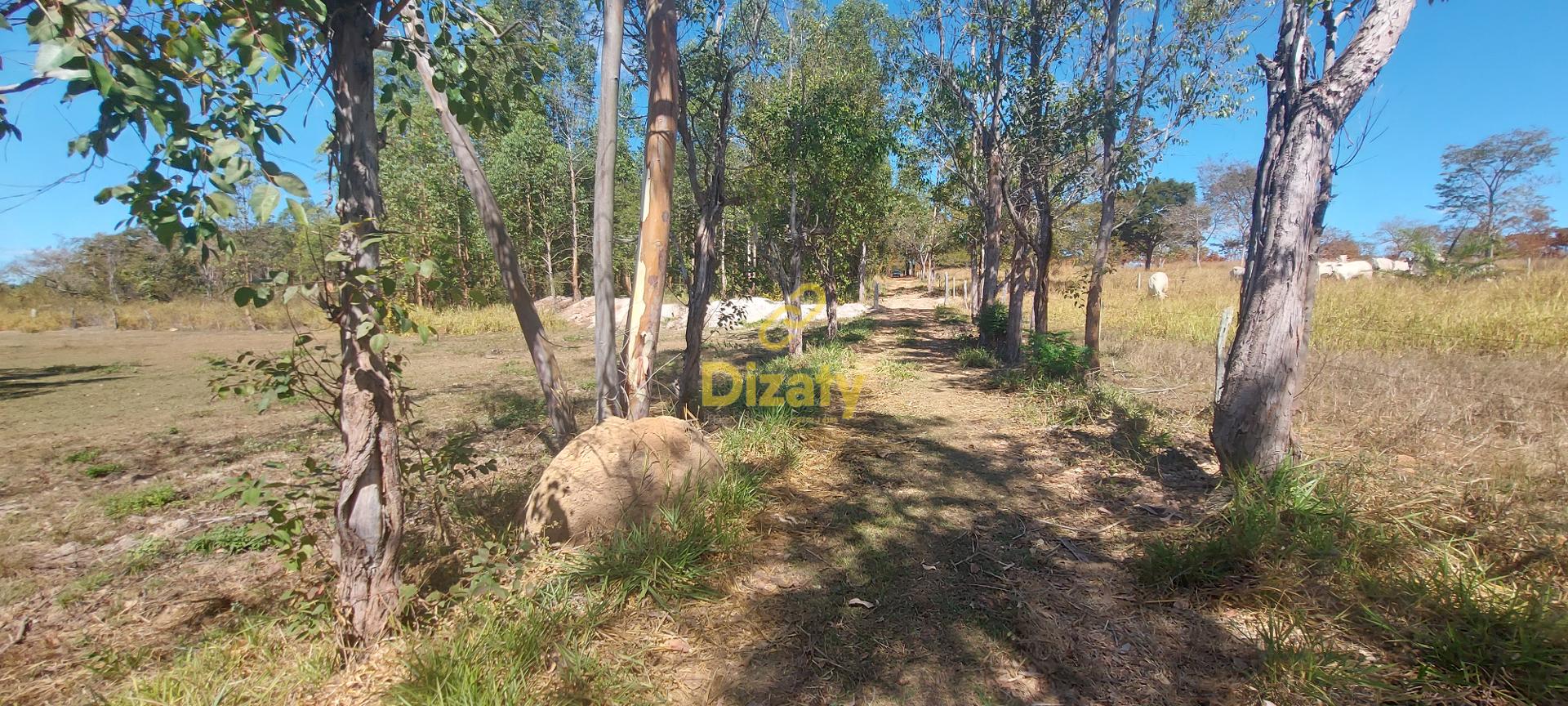 Terreno à venda com 5 quartos, 110000m² - Foto 4