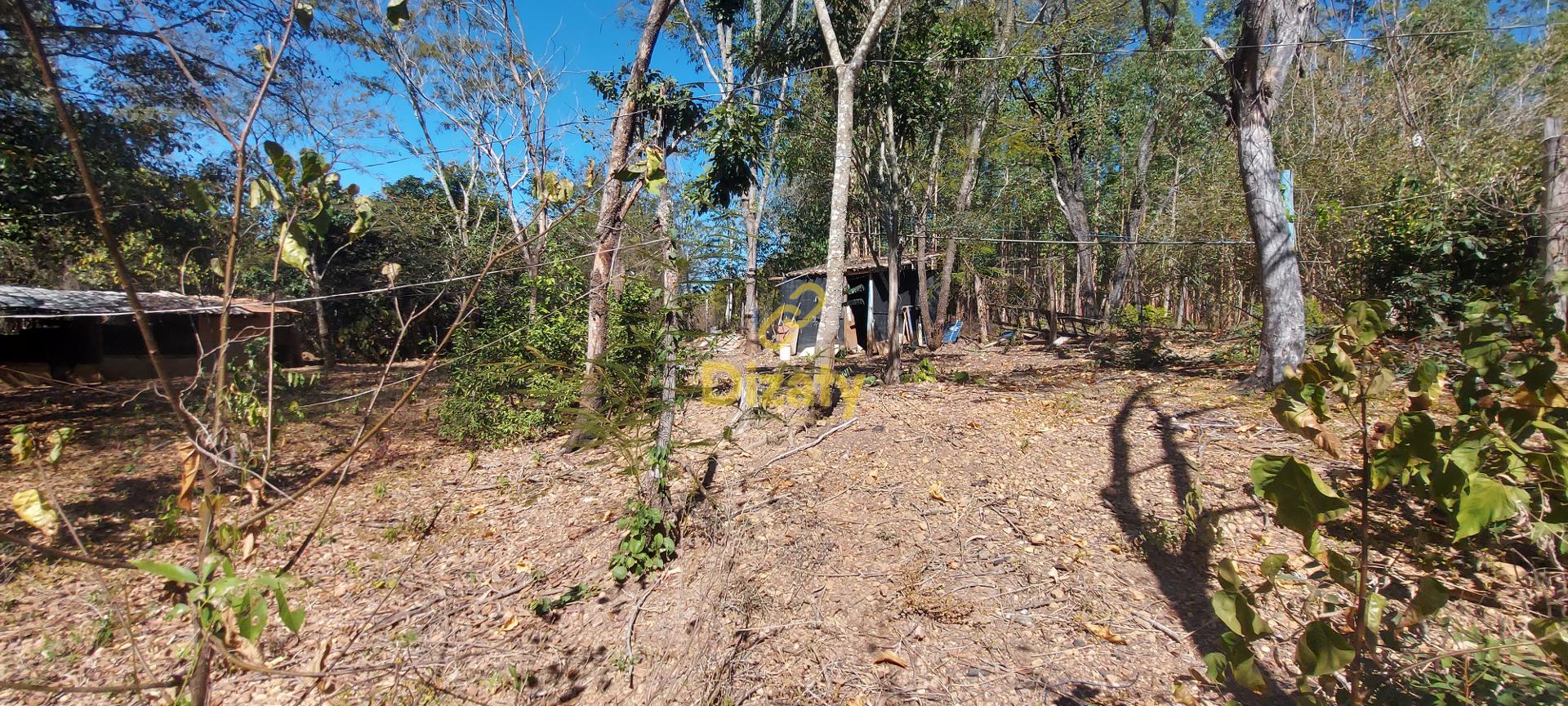 Terreno à venda com 5 quartos, 110000m² - Foto 51