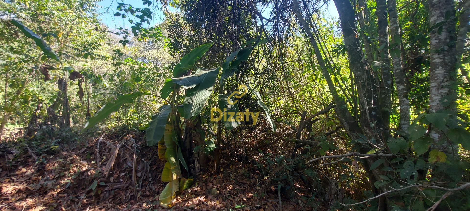 Terreno à venda com 5 quartos, 110000m² - Foto 58