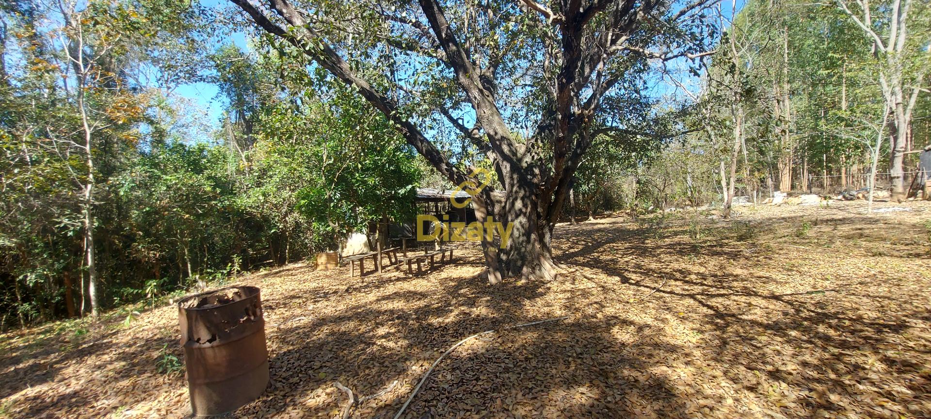 Terreno à venda com 5 quartos, 110000m² - Foto 60