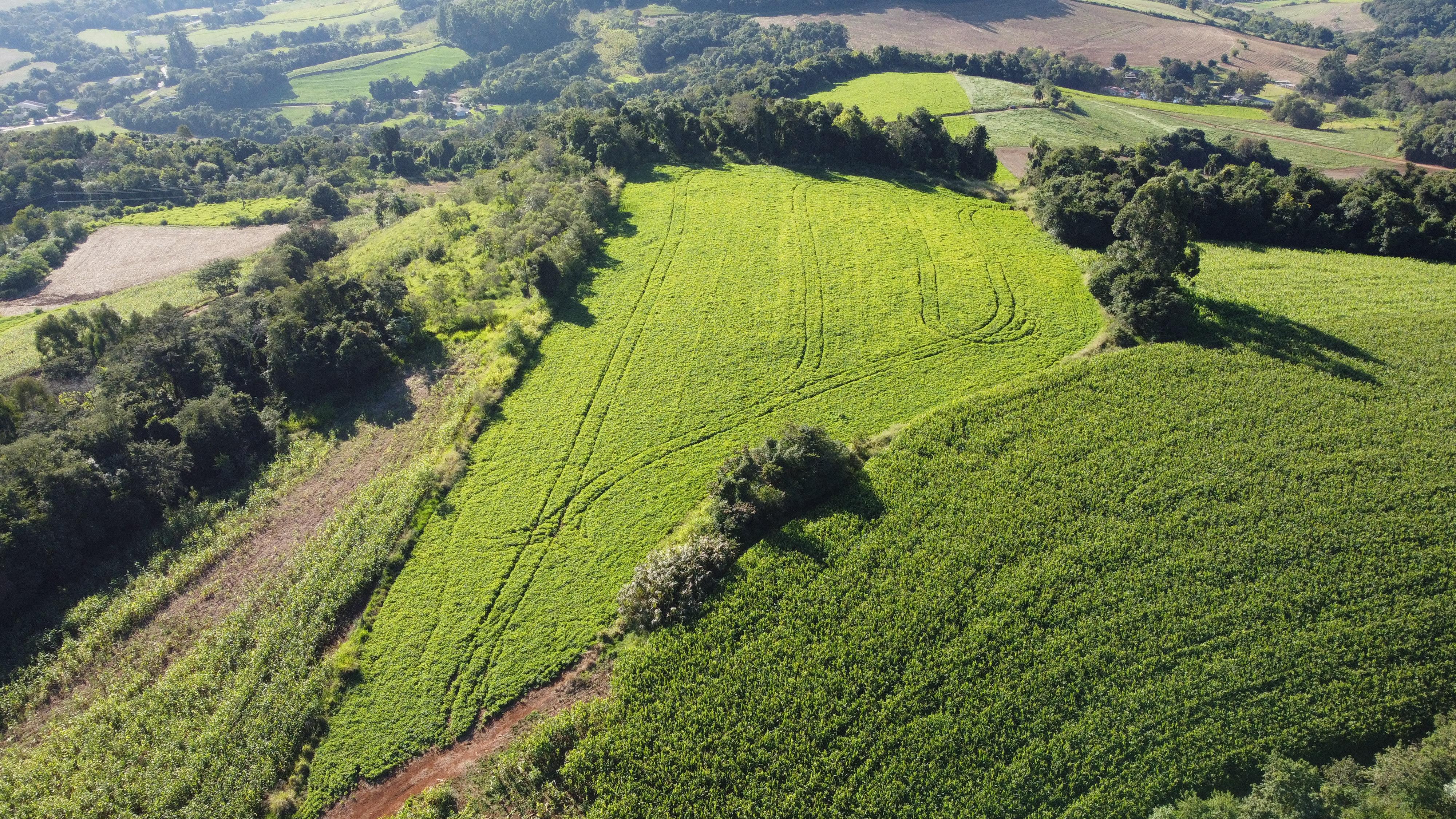 Rural à venda, Linha Conrado, DOIS VIZINHOS - PR