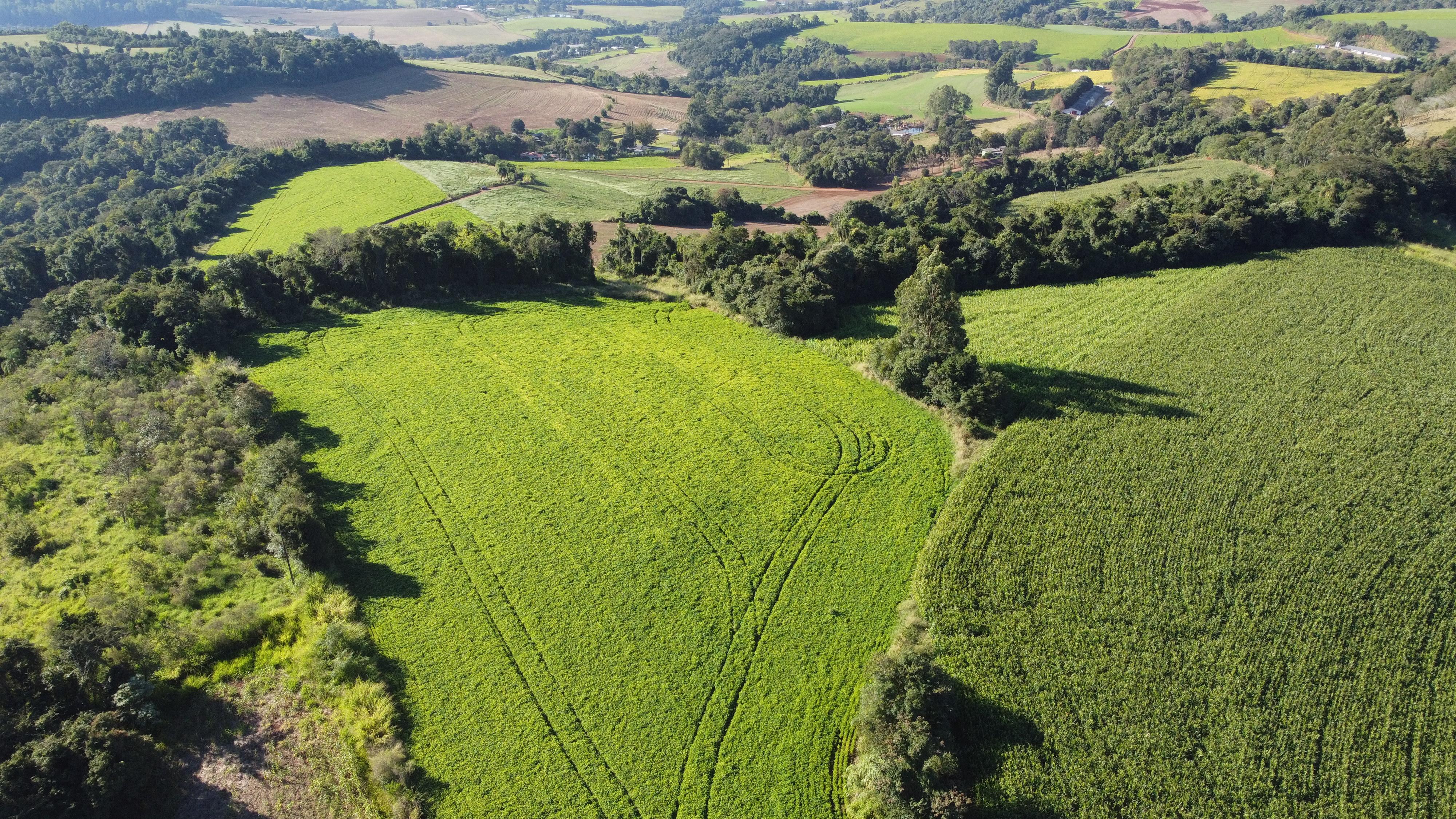 Rural à venda, Linha Conrado, DOIS VIZINHOS - PR