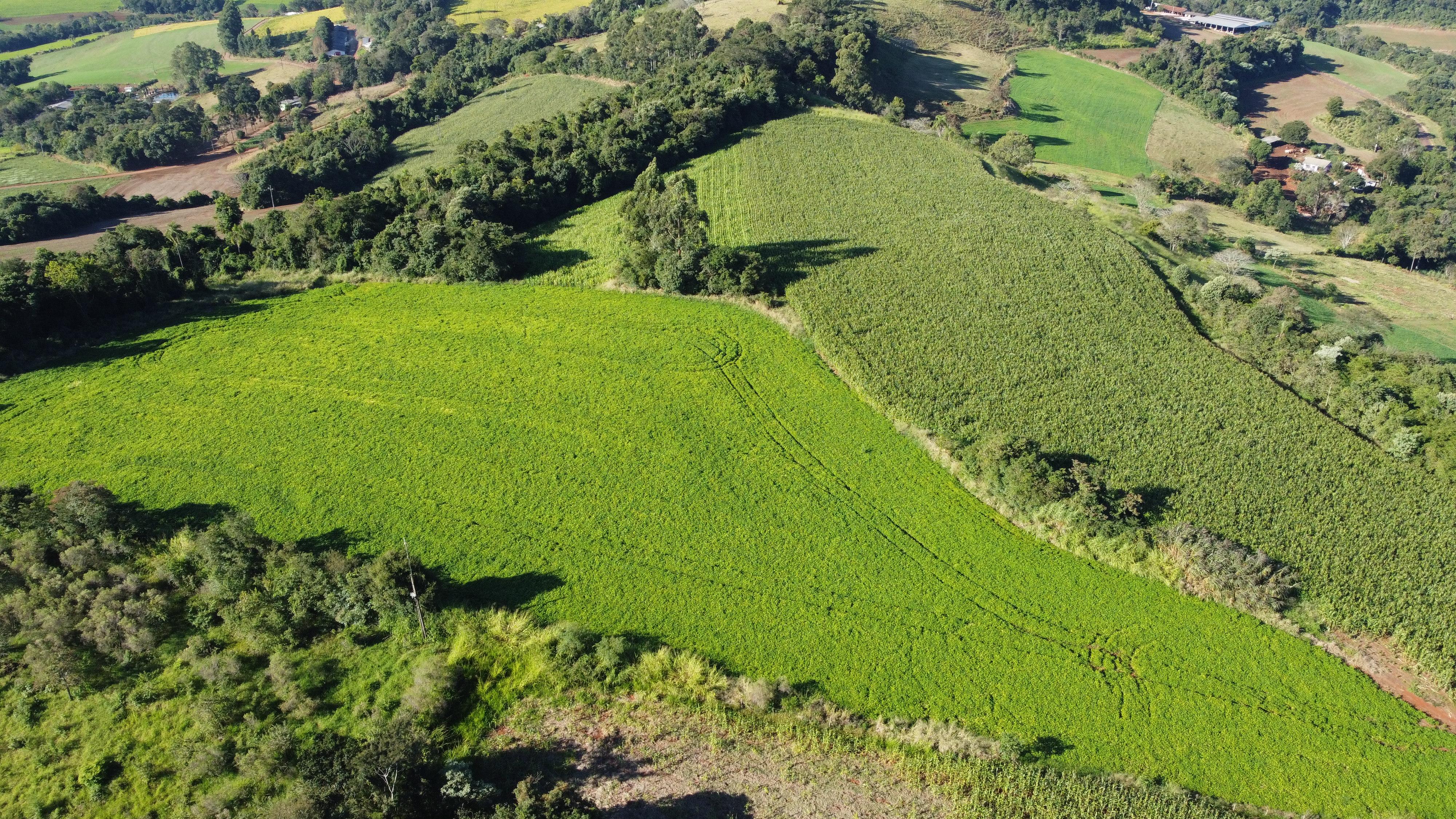 Rural à venda, Linha Conrado, DOIS VIZINHOS - PR