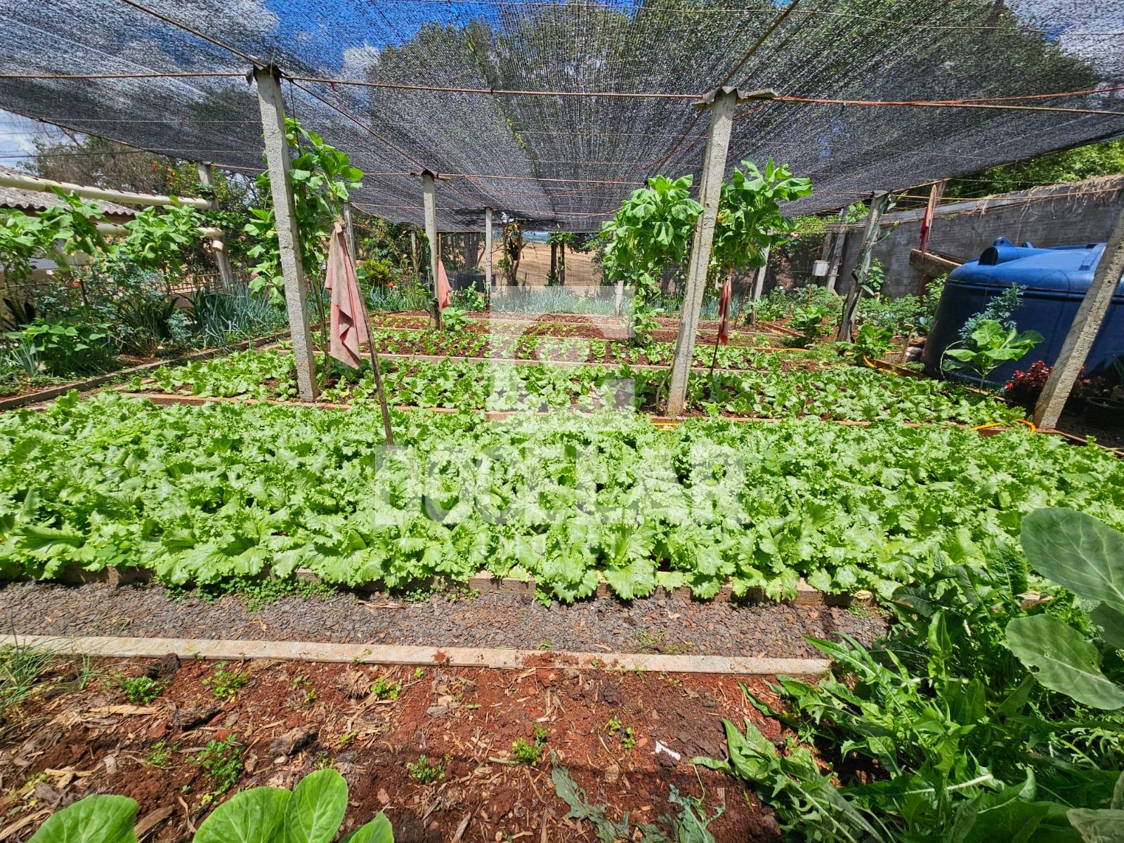 Casa para venda à 700 metros do Super Dia, DOIS VIZINHOS - PR