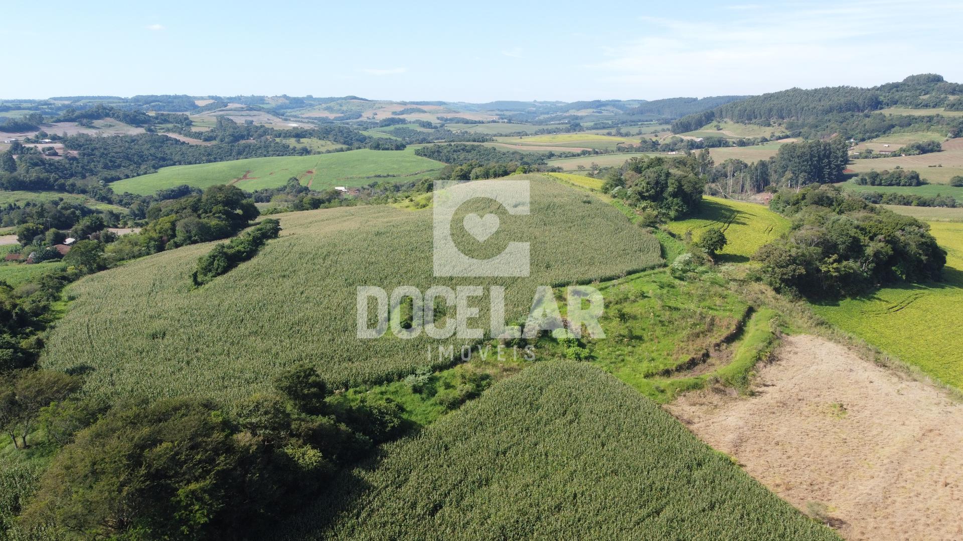 ÁREA RURAL DE 9 ALQUEIRES PARA VENDA EM SAO JORGE D OESTE - PR