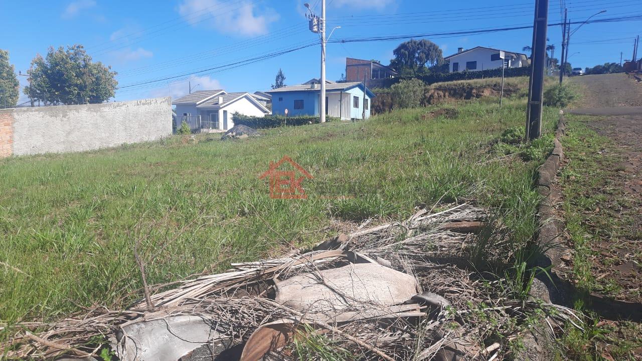 Elcio Klaus Corretor de Imveis em So Loureno do Oeste SC