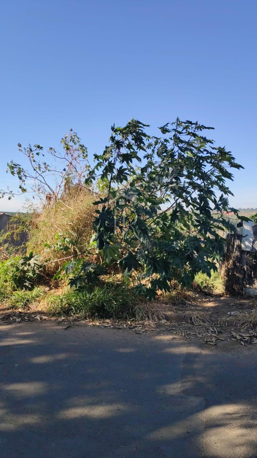 Vende-se lote no Itamaraty II