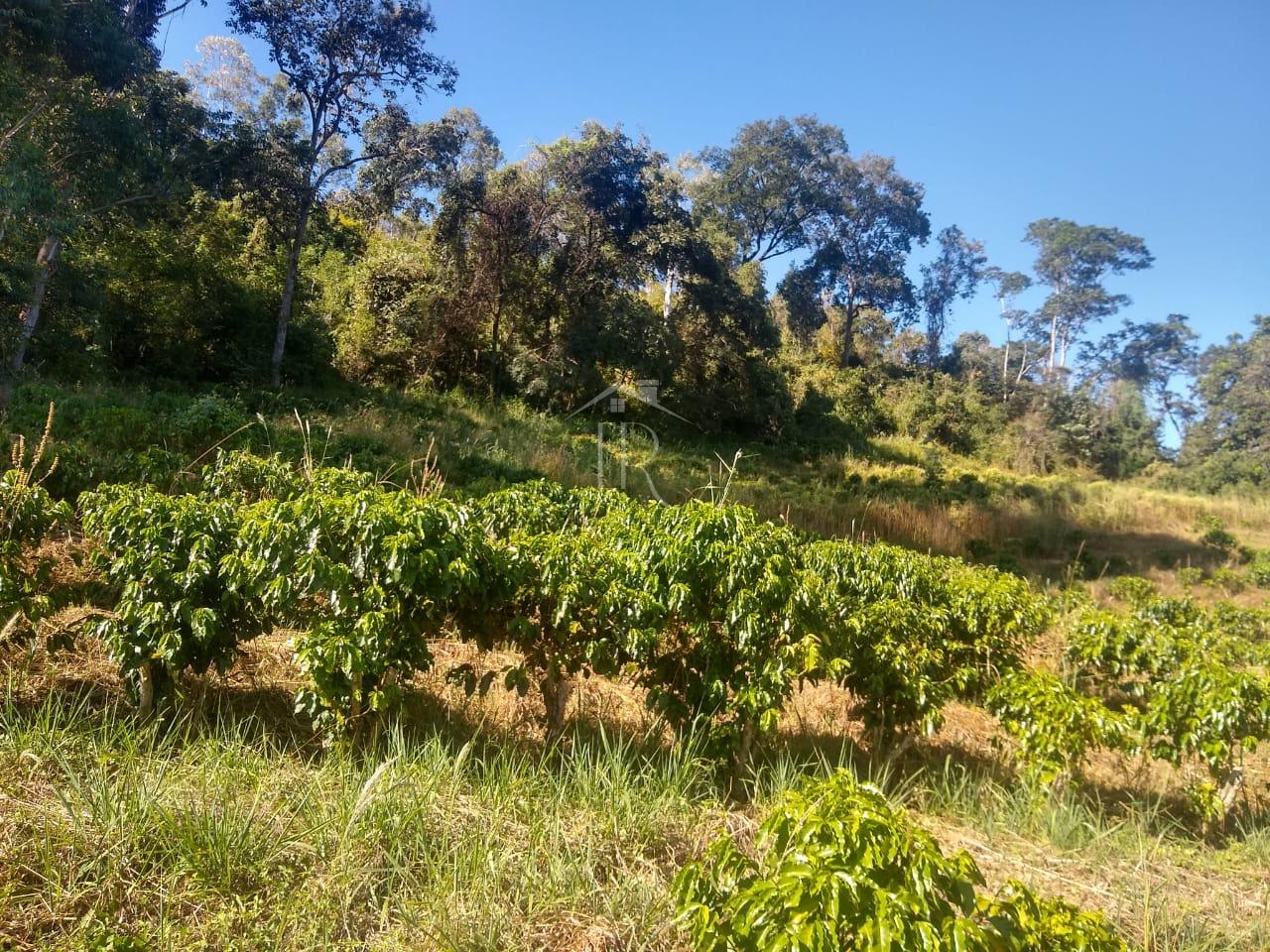 Sítio à venda, Rural, SAO SEBASTIAO DO PARAISO - MG