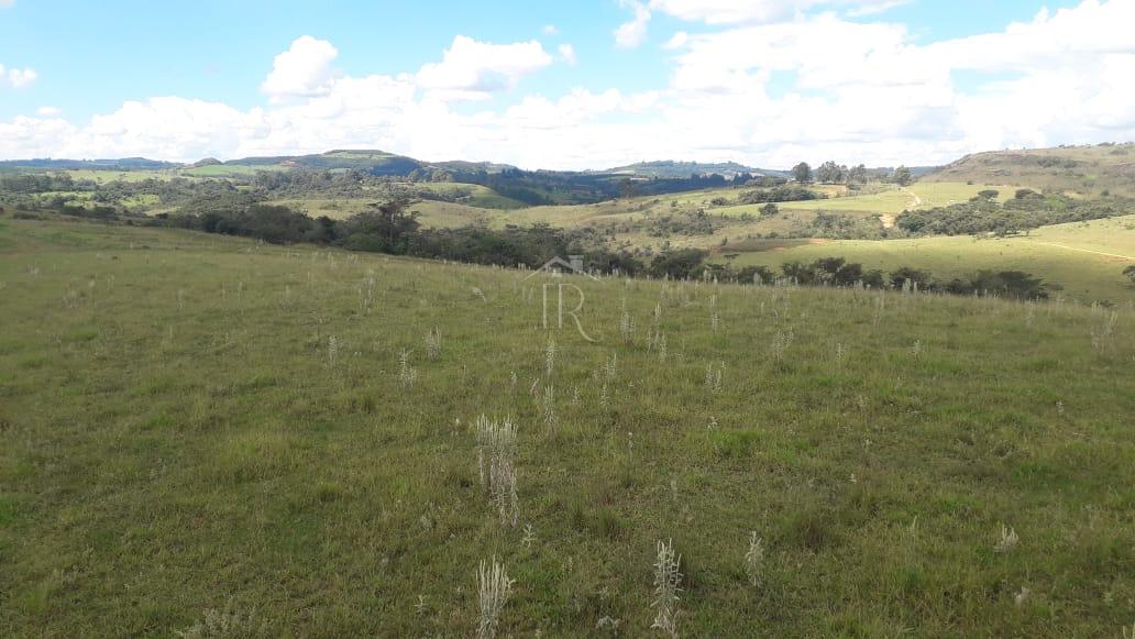 Sítio à venda ou troca, Rural, SAO SEBASTIAO DO PARAISO - MG