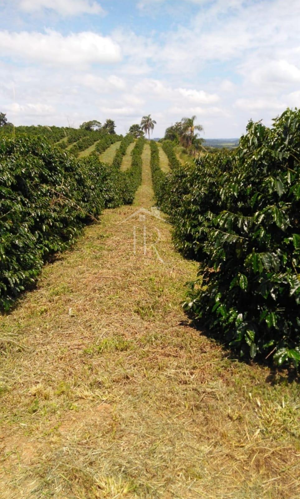 Sítio à venda, Rural, TRES PONTAS - MG