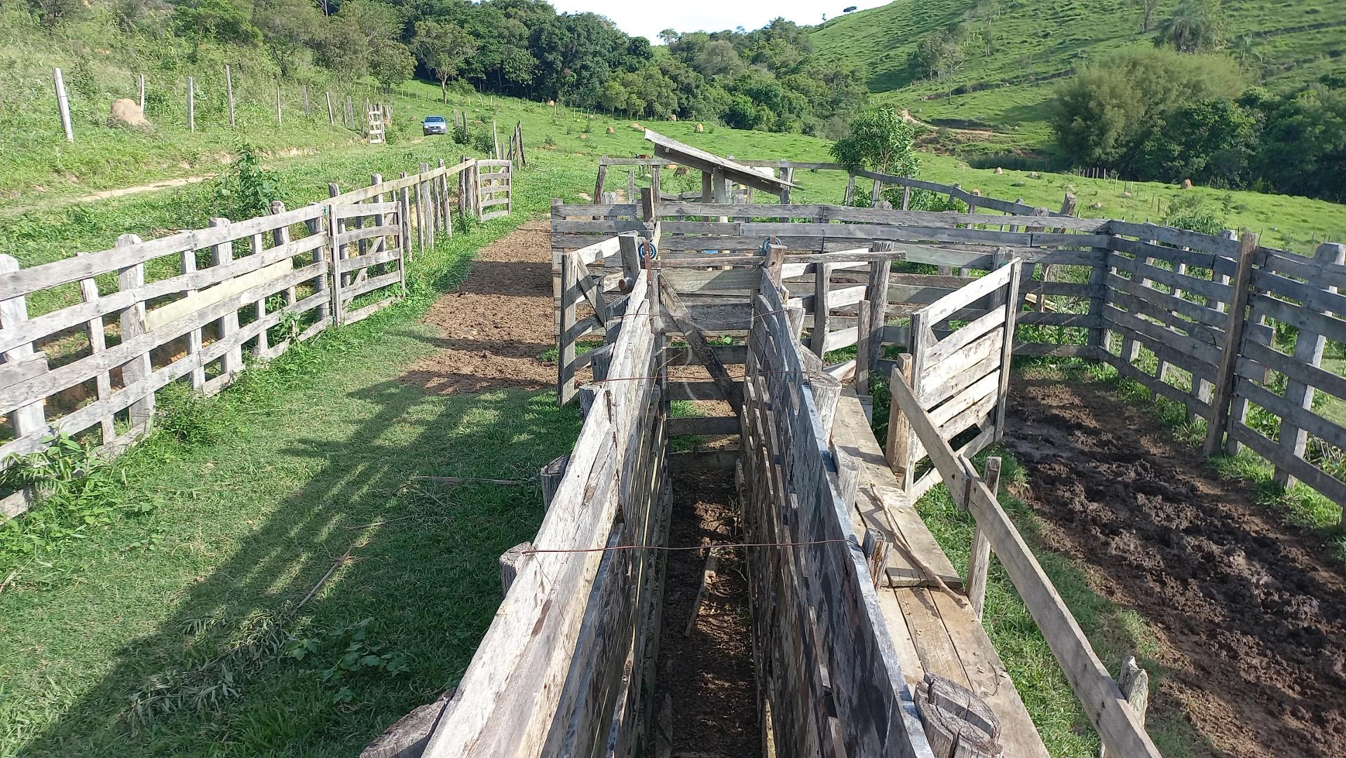 Sítio à venda, Rural, FORTALEZA DE MINAS - MG