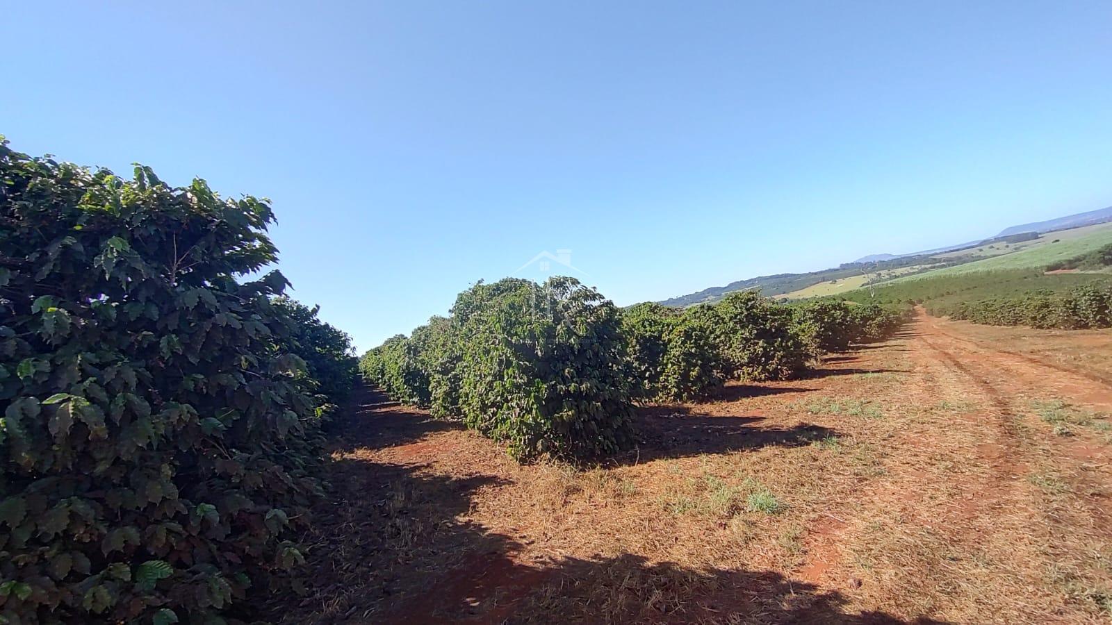 Fazenda com café e cana à venda, Rural, SAO TOMAS DE AQUINO - MG