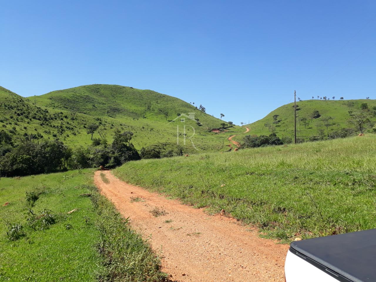 Fazenda à venda 132 Alqueires para pecuária, Rural, FORTALEZA DE MINAS - MG