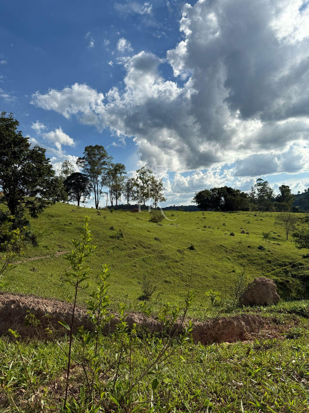 Sítio a 12 km da cidade com 1.25 alqueires, Rural, JACUI - MG
