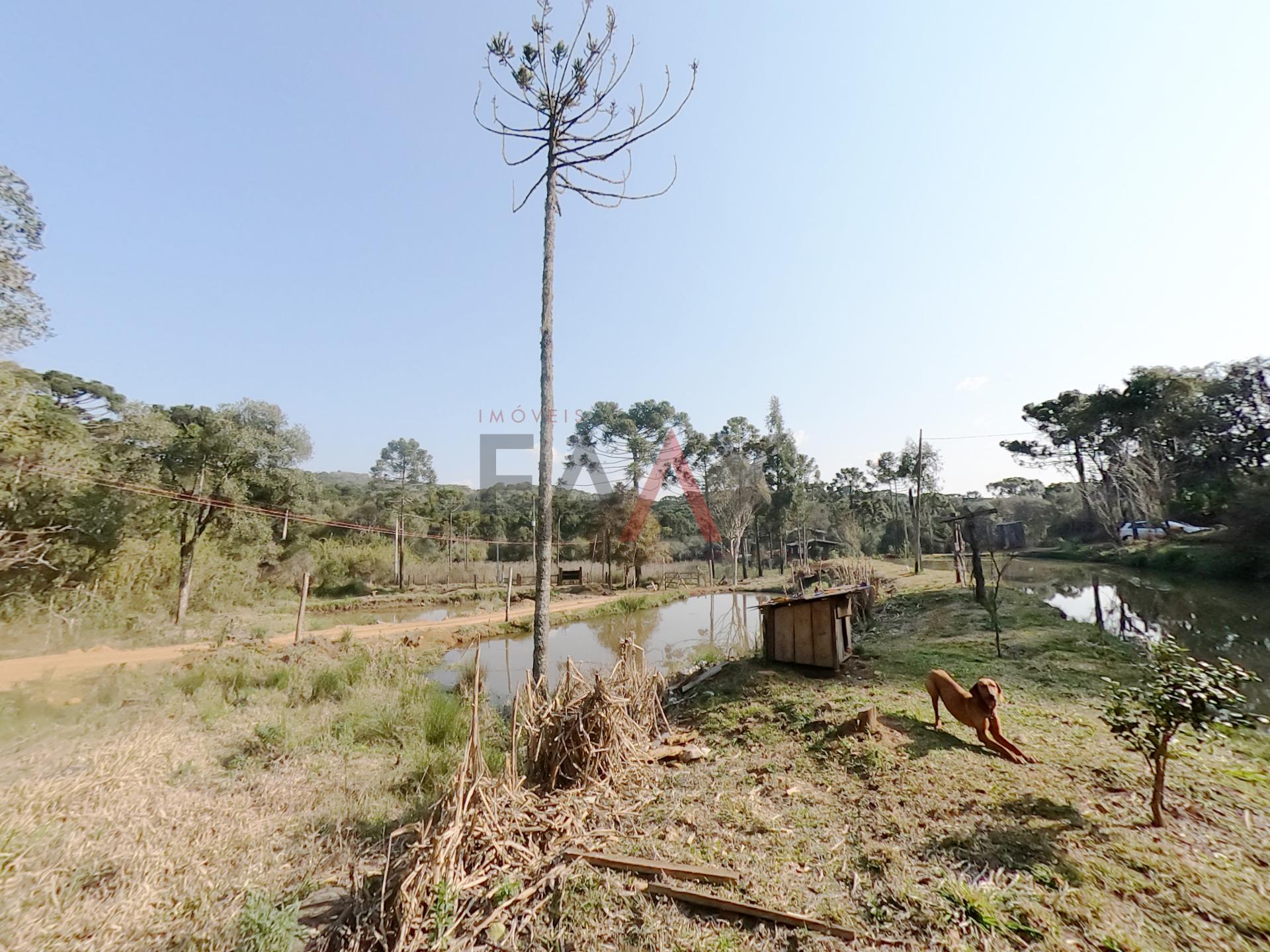 Fazenda à venda, 33850m² - Foto 13