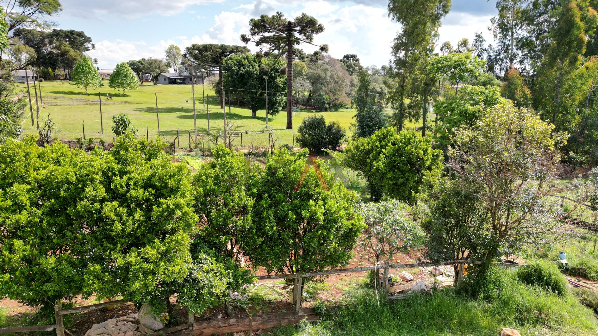 Fazenda à venda, 20038m² - Foto 7