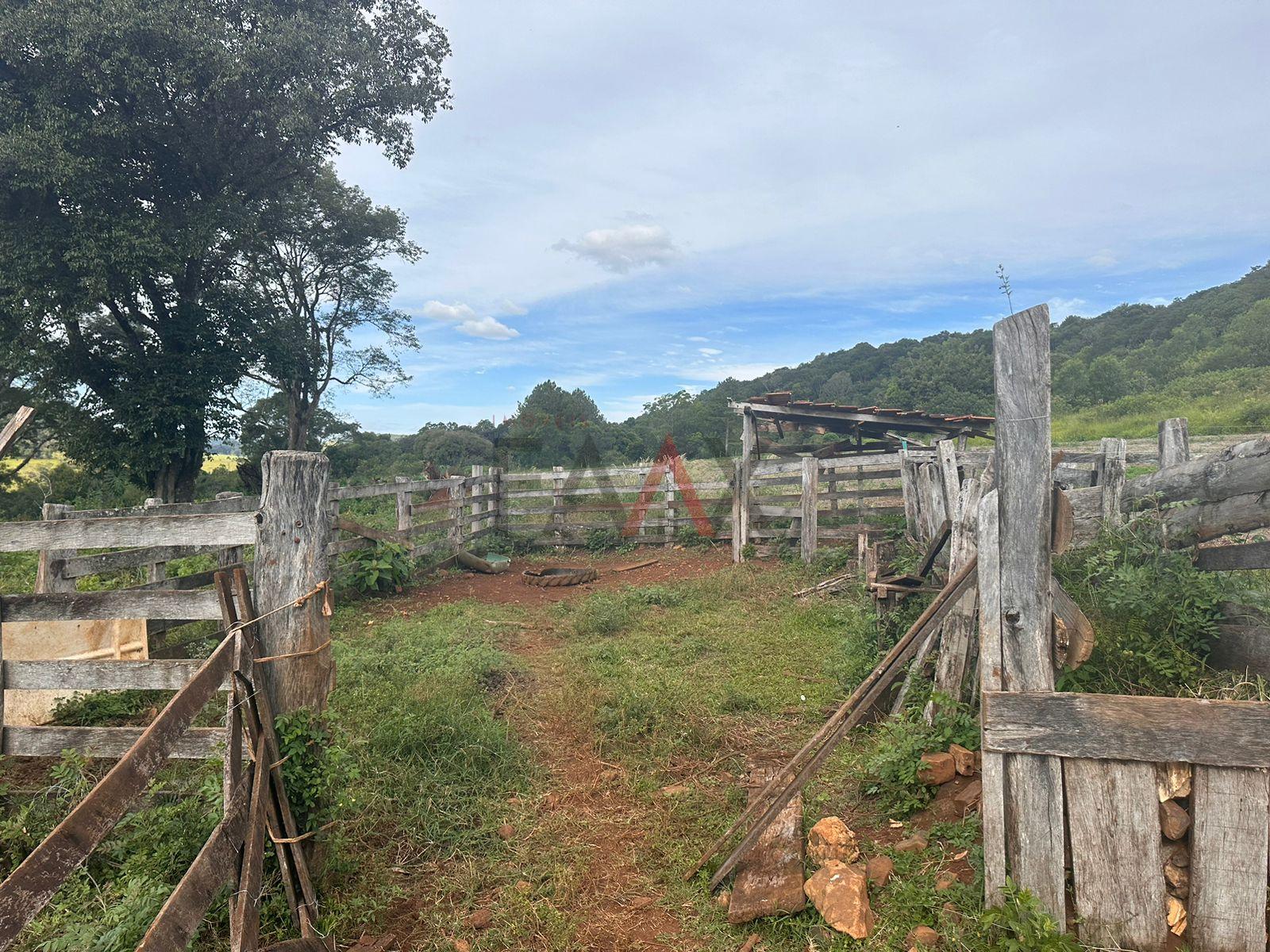 Fazenda-Sítio-Chácara, 17 hectares - Foto 4