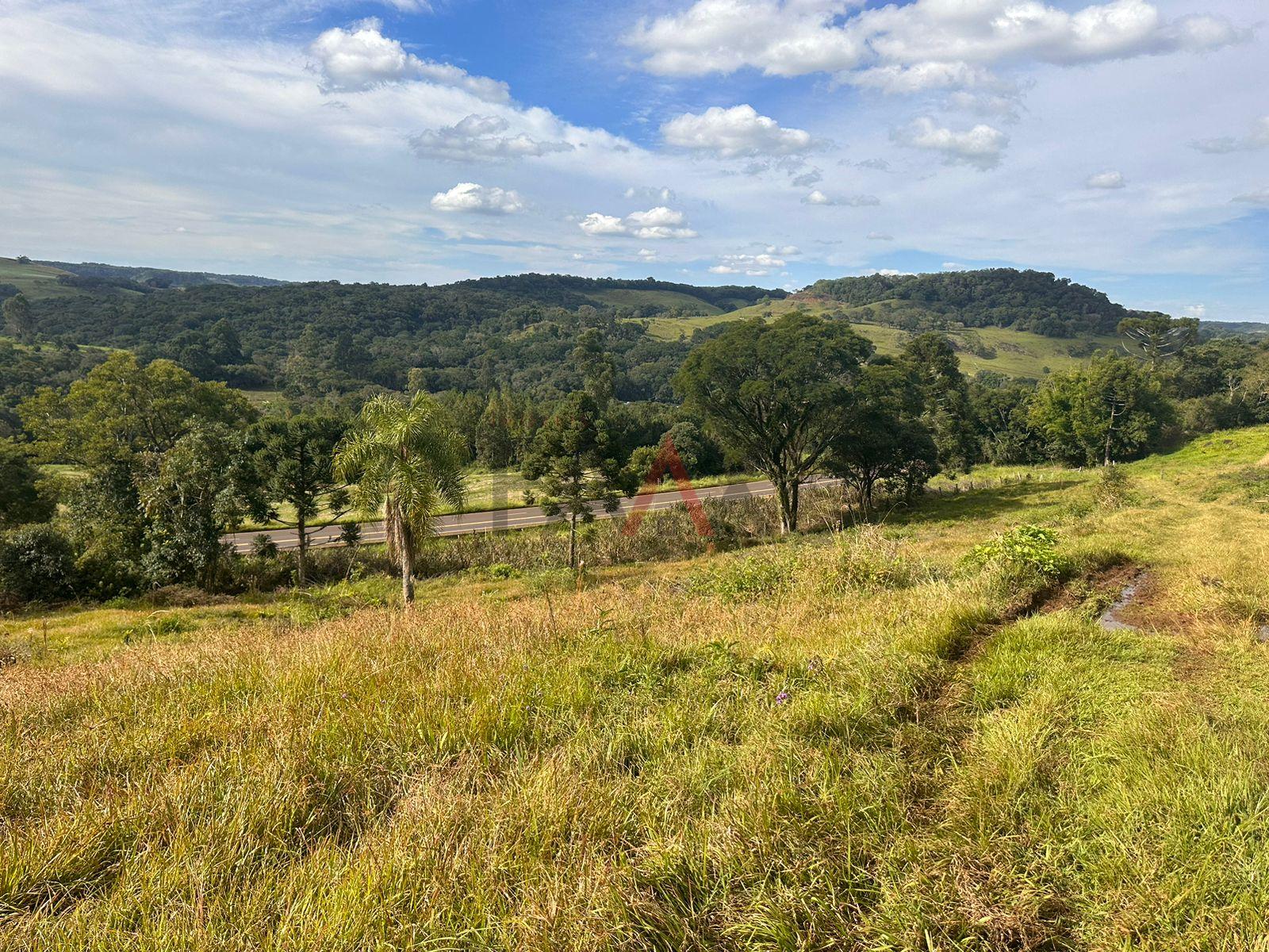 Fazenda à venda, 169400m² - Foto 5