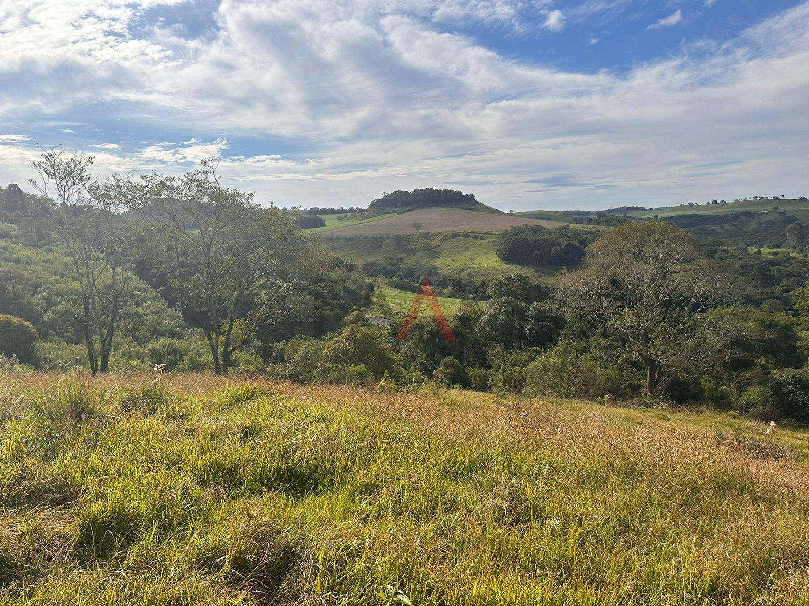 Fazenda à venda, 169400m² - Foto 7