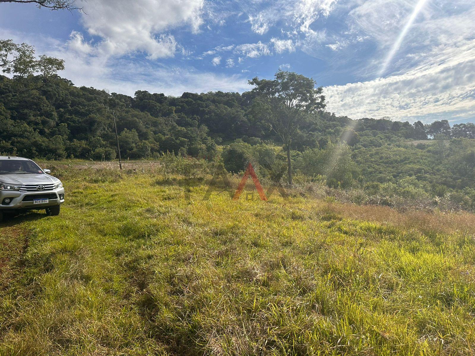 Fazenda à venda, 169400m² - Foto 8