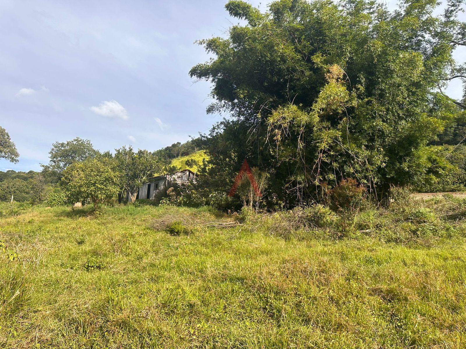 Fazenda à venda, 169400m² - Foto 9