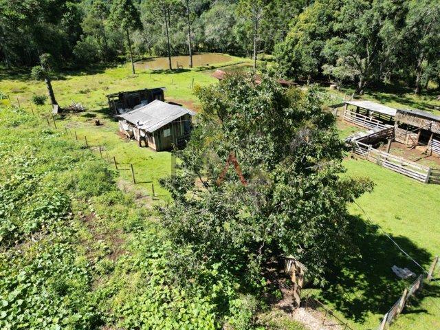 Fazenda à venda, 122962m² - Foto 16