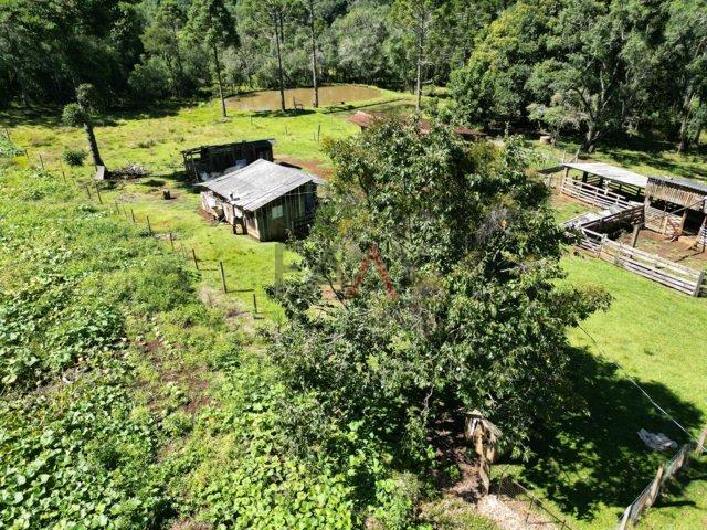 Fazenda à venda, 122962m² - Foto 17