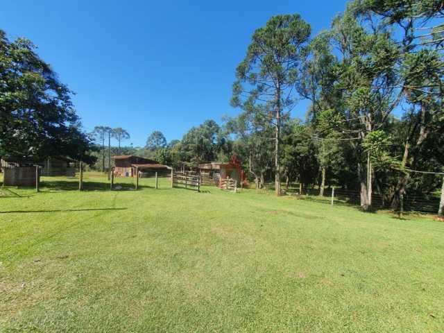 Fazenda à venda, 122962m² - Foto 35