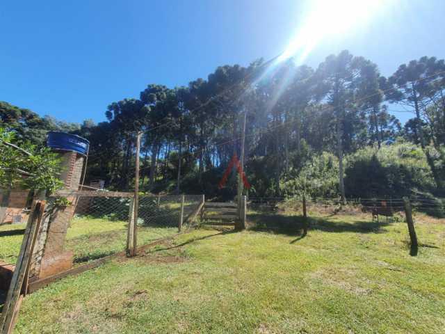 Fazenda à venda, 122962m² - Foto 39