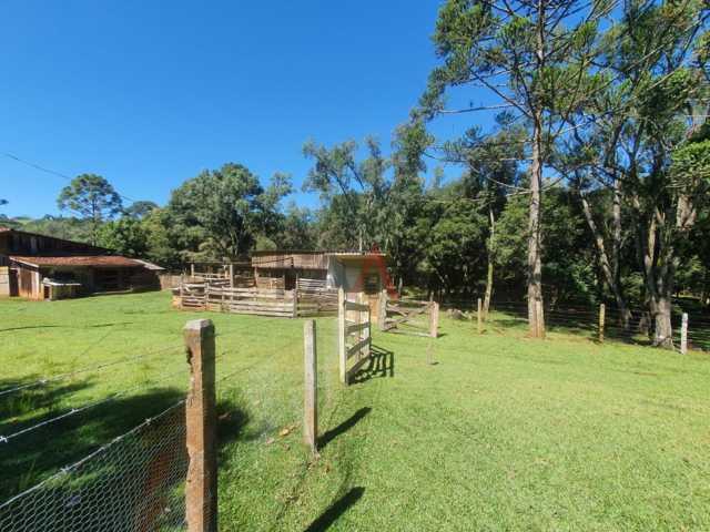 Fazenda à venda, 122962m² - Foto 59