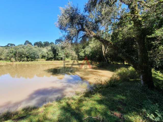 Fazenda à venda, 122962m² - Foto 71