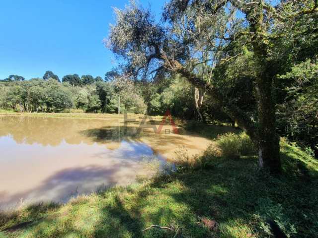 Fazenda à venda, 122962m² - Foto 75