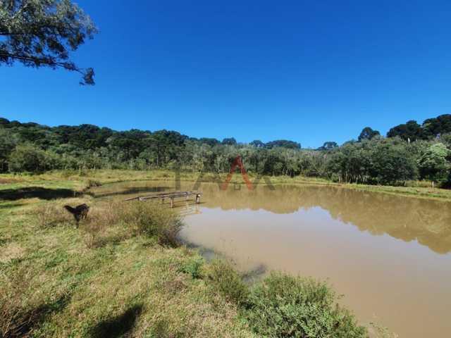 Fazenda à venda, 122962m² - Foto 76