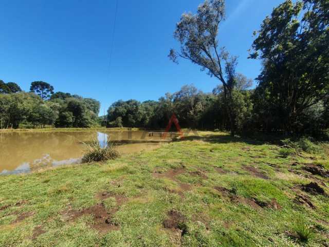 Fazenda à venda, 122962m² - Foto 79