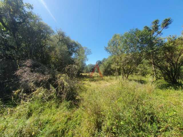 Fazenda à venda, 122962m² - Foto 83