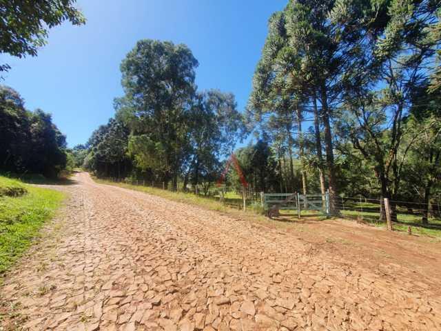 Fazenda à venda, 122962m² - Foto 88