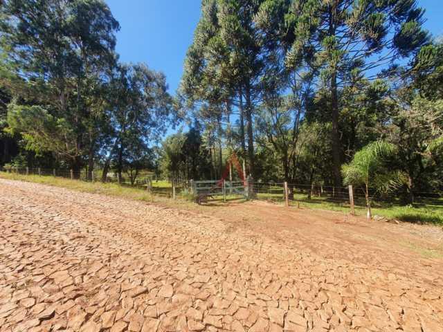 Fazenda à venda, 122962m² - Foto 89