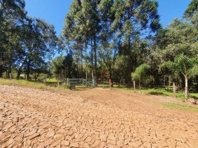 Fazenda à venda, 122962m² - Foto 90