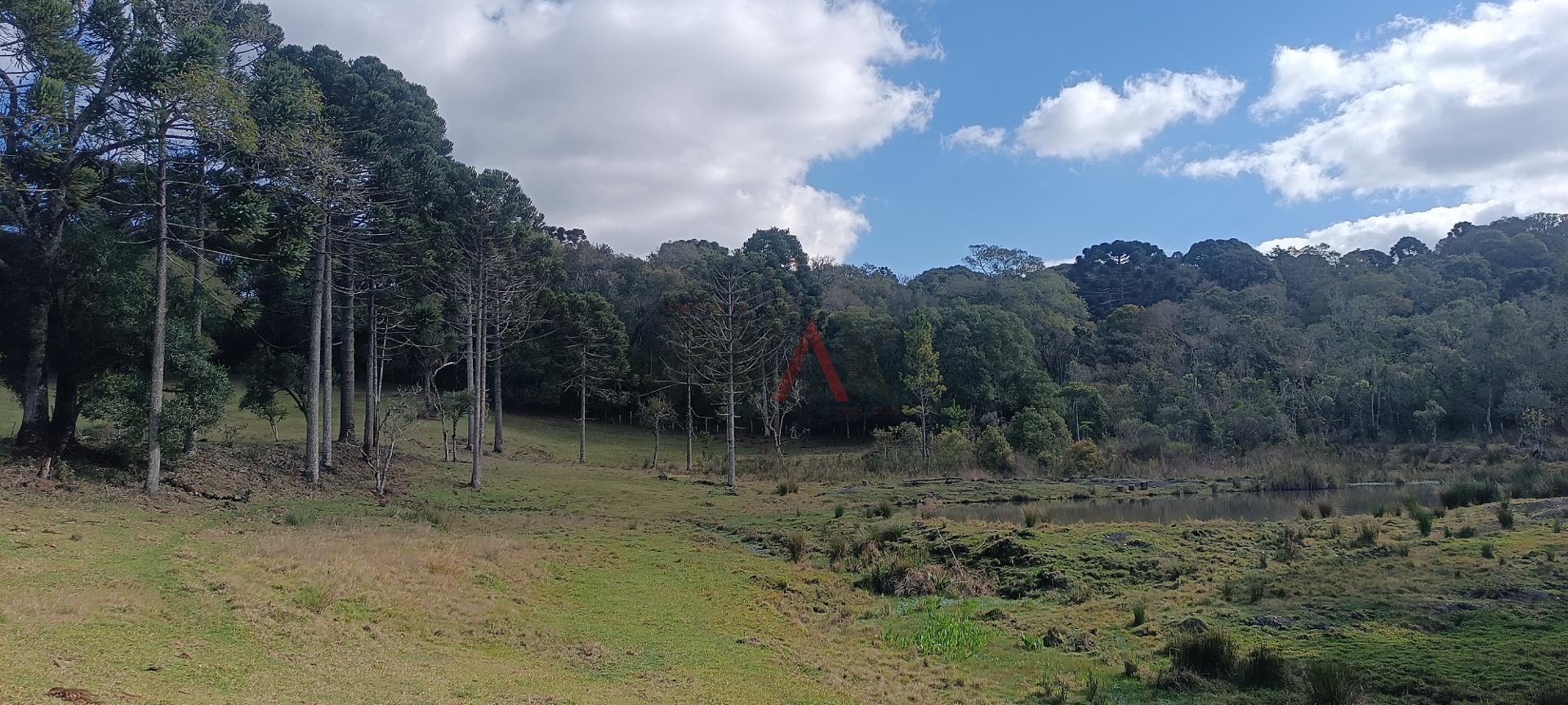 Fazenda à venda - Foto 3